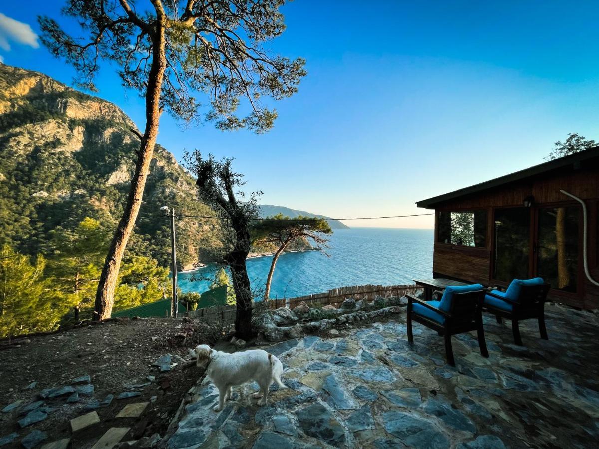 Kabak Uetopya Kamp Faralya Exterior photo